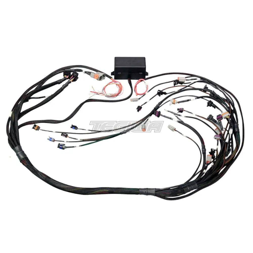 Haltech Elite 2500 GM GEN III LS1 (DBW Ready) Terminal Harness - EV1